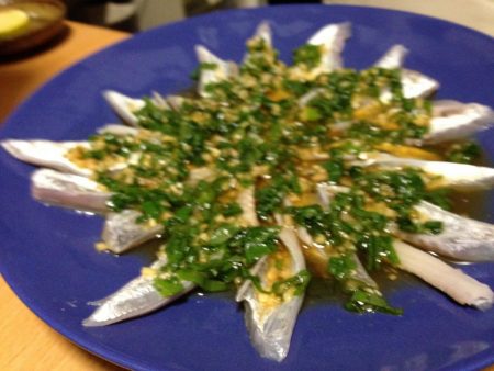 タチウオは釣れるが…